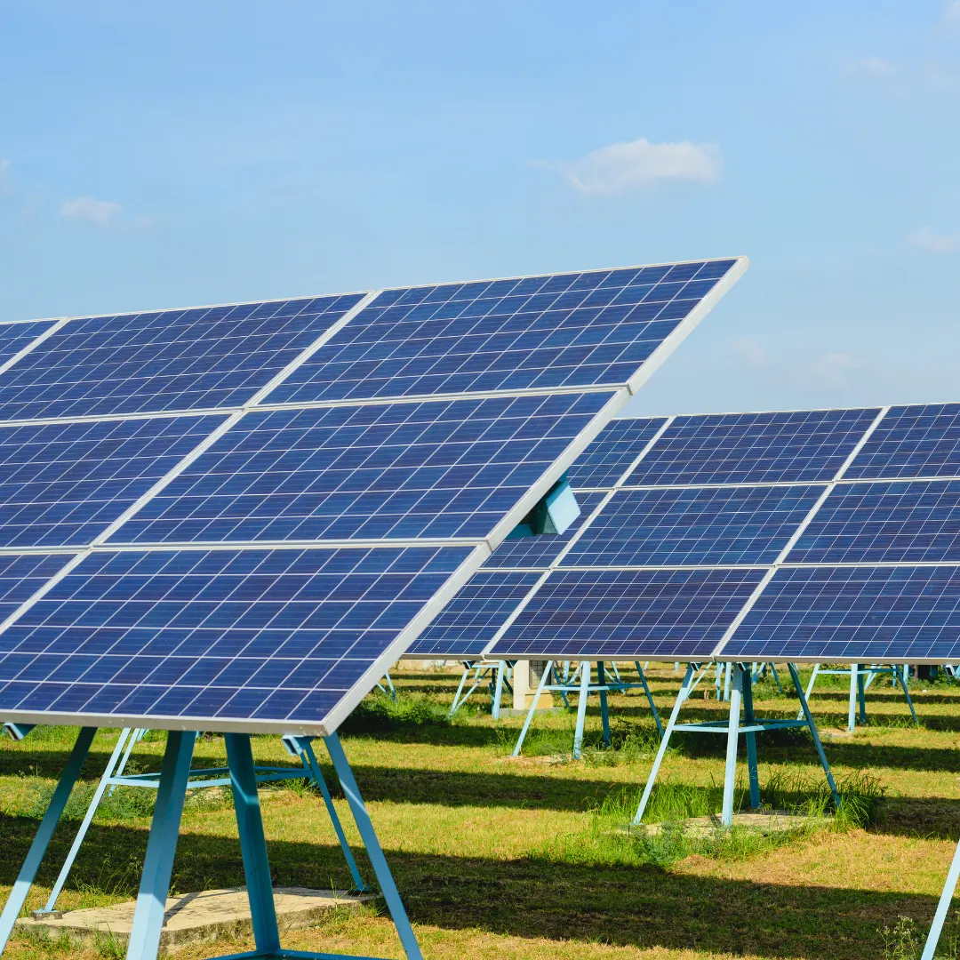 Rows of solar panels set up outdoors, capturing sunlight to generate renewable energy.