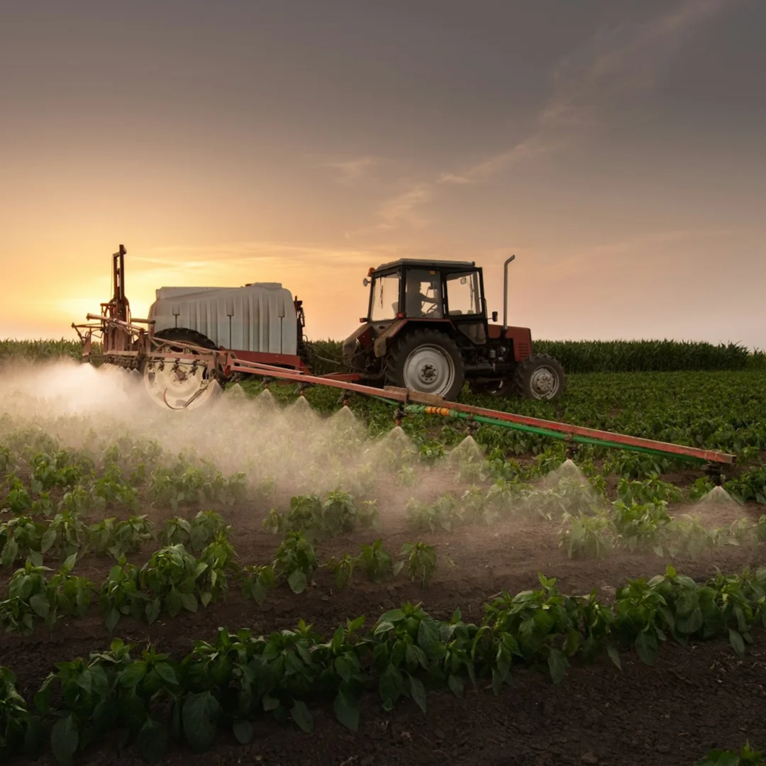 A tractor spraying crops in a field at sunset, with a mist covering the plants.