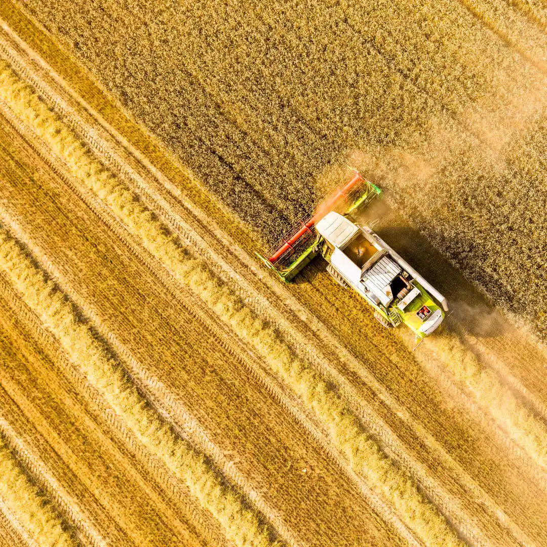Aerial view of a large combine harvester working through a golden field, creating a pattern in the crops.