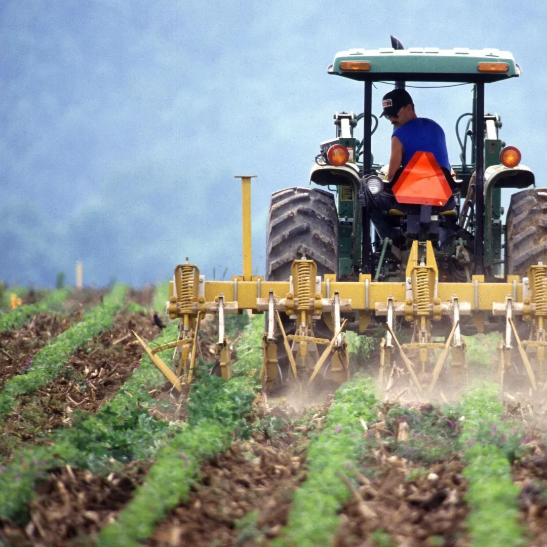 A tractor working on a farm field, with equipment attached for planting or fertilizing crops.